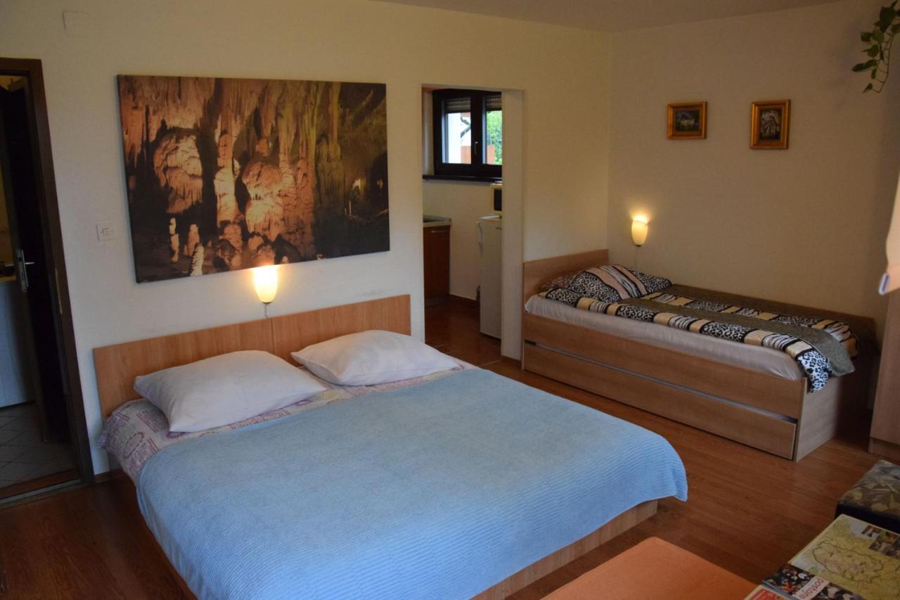 Rooms Ribnikar Postojna Bagian luar foto