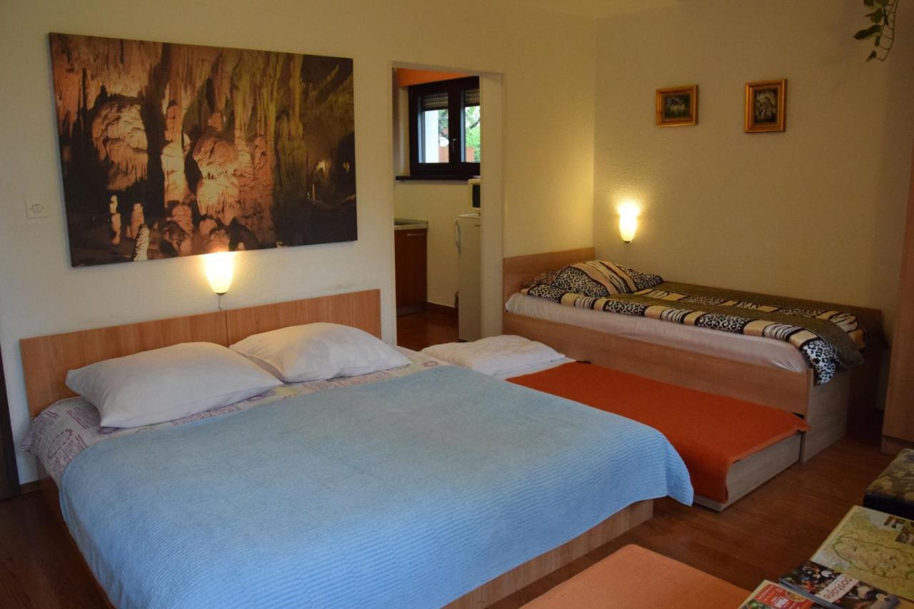 Rooms Ribnikar Postojna Bagian luar foto
